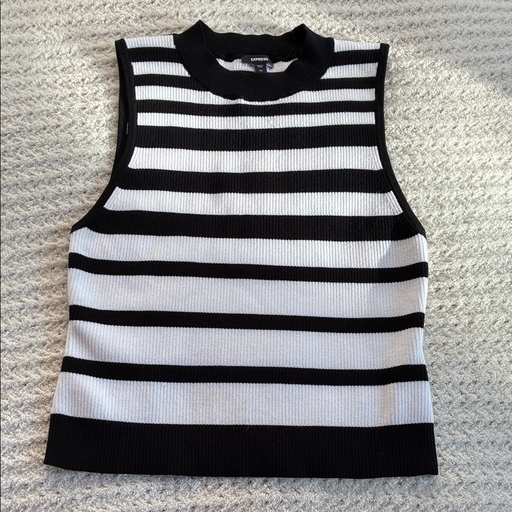 Fitted ribbed, high neck sweater tank from Express.